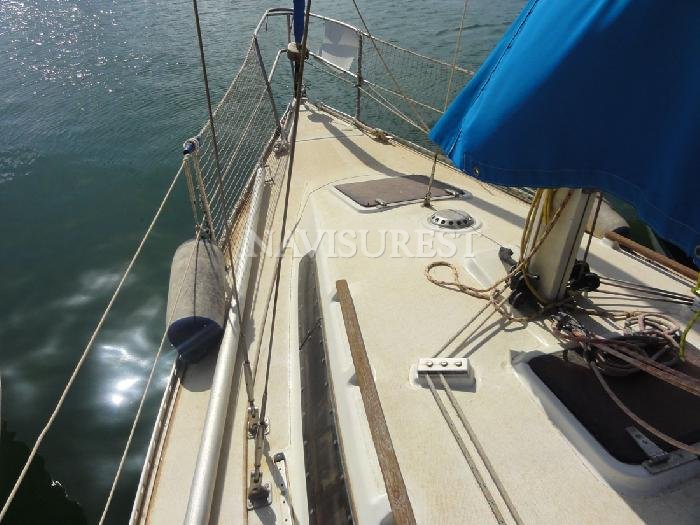 FURIA 28 - foto 4
