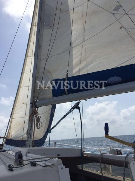 SERVIOLA 23 ORZA ABATIBLE DIESEL - foto 6