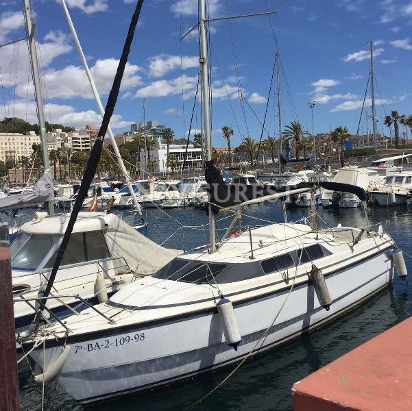 MACGREGOR 26 CON CARRO - foto 2