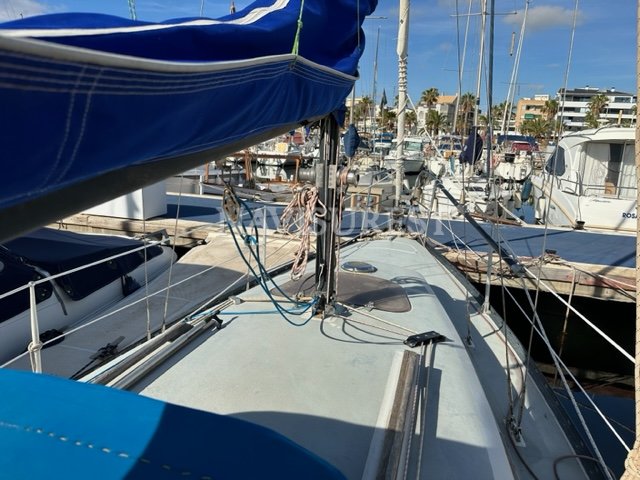 NEPTUNE BOOTE 27 - foto 4