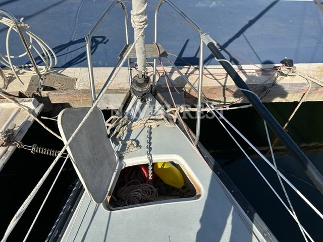 NEPTUNE BOOTE 27 - foto 7