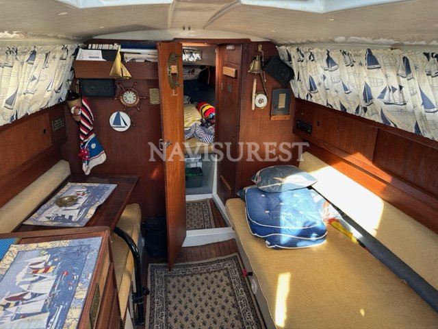NEPTUNE BOOTE 27 - foto 9