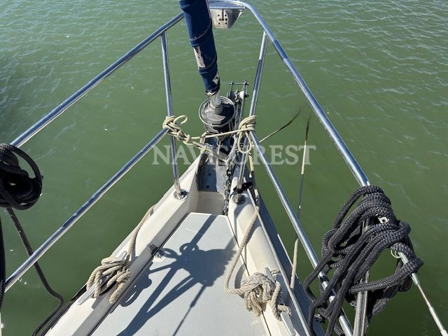 HUNTER 376 CAZADOR - foto 5
