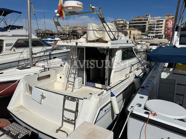 RODMAN 900 FLY - foto 1