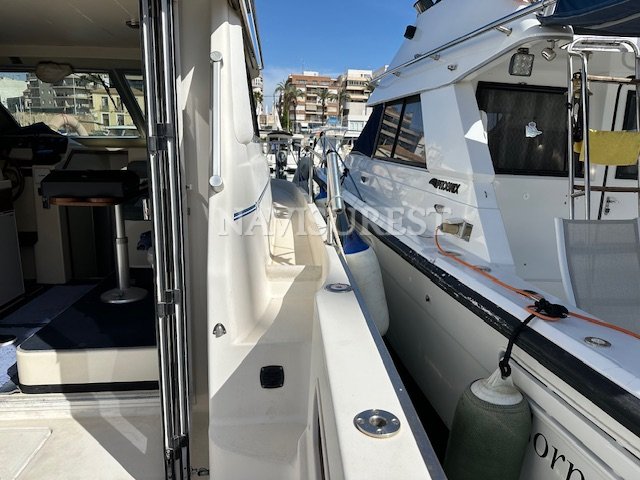 RODMAN 900 FLY - foto 4