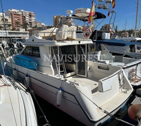RODMAN 900 FLY - foto 17
