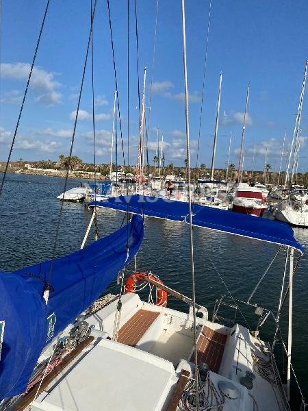 GIB SEA 76 - foto 2