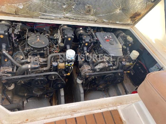 SEA RAY SUNDANCER 280 - foto 14