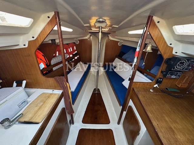 JOUET 24 - foto 6