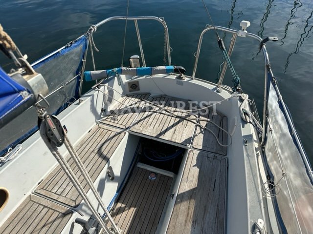 NEPTUNE BOOTE 27 - foto 4