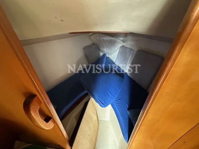 PUMA 24 - foto 11