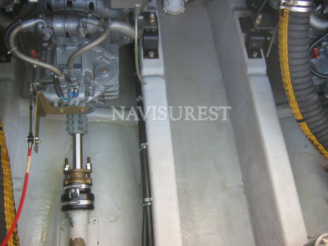 RODMAN 800 - foto 13
