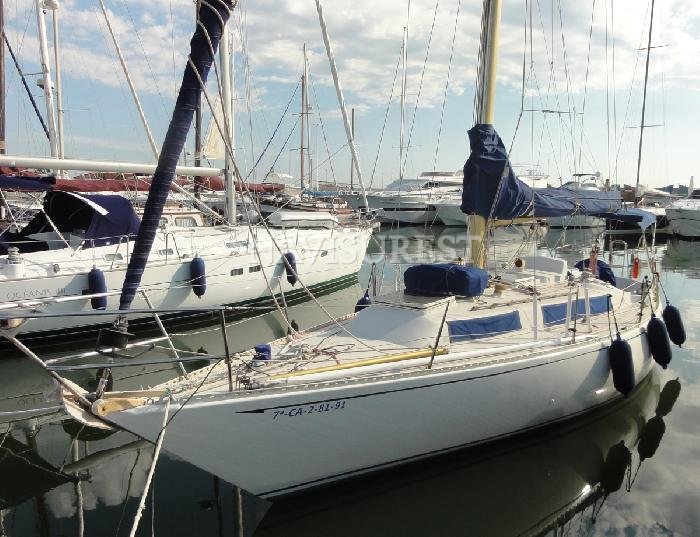PUMA 34 MOTOR NUEVO - foto 18