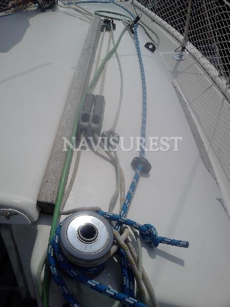 ASTRAEA ALBATROS JARCIA NUEVA - foto 7