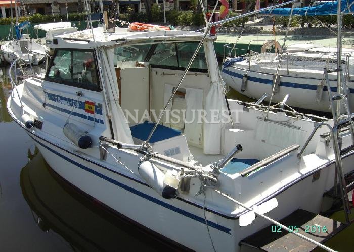 RODMAN 700 MOTOR NUEVO 2006 - foto 2